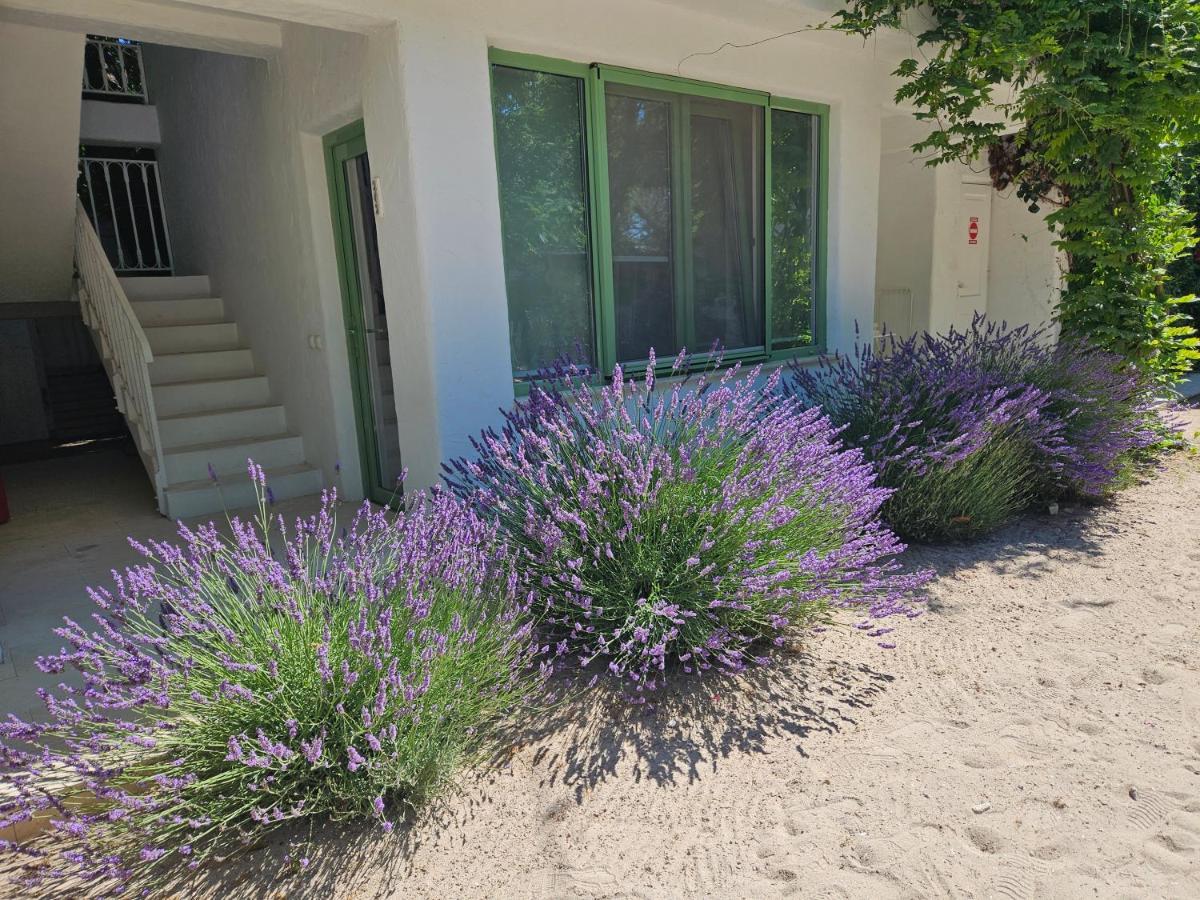 Maison d'hôtes Casa De Mare Olimp