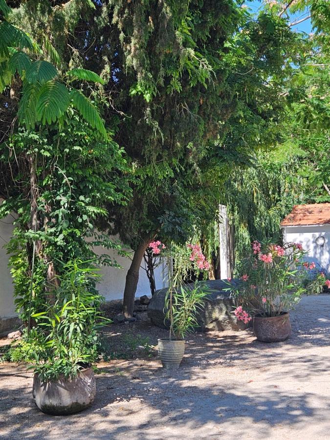 Casa De Mare Maison d'hôtes