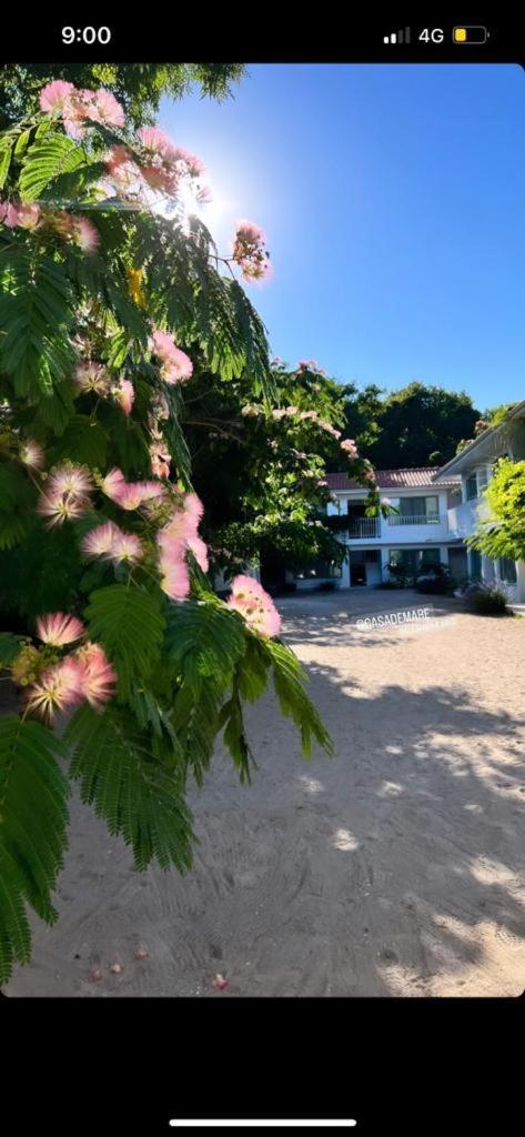 Casa De Mare * Olimp